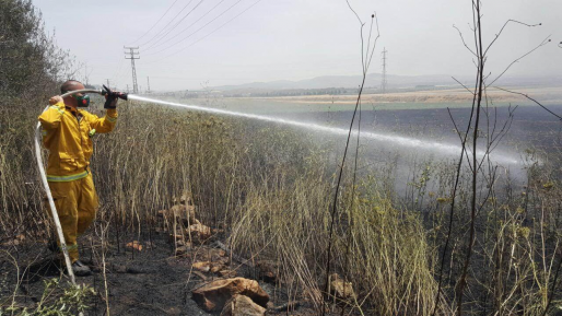 צילום: דוברות כב 2,000 ילדים במחנה קיץ פונו עקב שריפה בנחל השופט