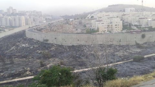 צילום: חדשות 0404 קליע שנורה מכפר ערבי פגע בשמשת רכב בפסגת זאב וניפץ אותה