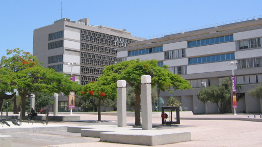 קנסות כבדים נגזרו על חברה להשכרת כלי רכב שפועלת במבנים בלתי חוקיים וללא רישיון עסק