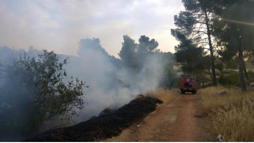 צילום: דוברות כב שריפה נוספת בעמק האלה: לוחמי האש הוזעקו לאזור נווה מיכאל, כביש 367 נסגר