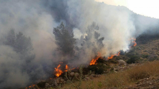 צילום: דוברות כב ארדן תוקף גורמי שמאל וערבים שטוענים שלא היו הצתות: ״קשקוש שקרי״