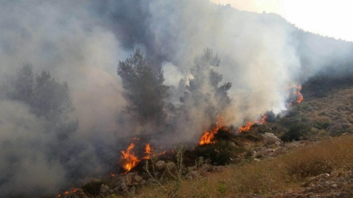 בעקבות ההצתות: ארדן והמפכ"ל הורו לתגבר כוחות מג"ב בשטחים הפתוחים