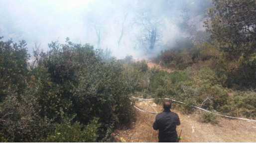 צילום: דוברות איחוד הצלה שריפת קוצים גדולה פרצה ביער להב