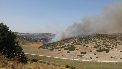 צילום: חדשות 0404 שריפה פרצה באזור בא"פ לכיש – מטוסי כיבוי הוזעקו למקום