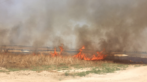 צילום: חטיבת דובר המשטרה שמונה נפגעים בשריפה שפרצה במטע לגידול פסיפלורה בתלמי יוסף