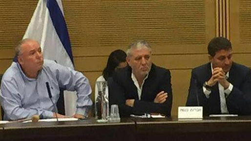 צילום: חדשות 0404 ח״כ השכל על הניסיון להדיחה: הליכוד פועל בבריונות