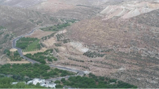 צילום: תנועת רגבים תלונה הוגשה במשטרה נגד קבלן מע"צ שסלל כביש לא חוקי לערבים