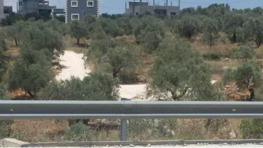 צילום: תנועת רגבים ערבים פרצו דרך בלתי חוקית סמוך לנופי נחמיה. המנהל: "ינקטו פעולות"