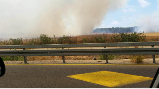 צילום: שלומי מרצ'ביאק שריפת קוצים גדולה פרצה בצמוד לכביש 2, סמוך לוינגייט