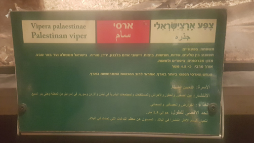 צילום: אדיר נמרוד כץ גולש זעם על השם "פלסטין" בחי פארק. ראש העיר הבהיר: "יטופל"