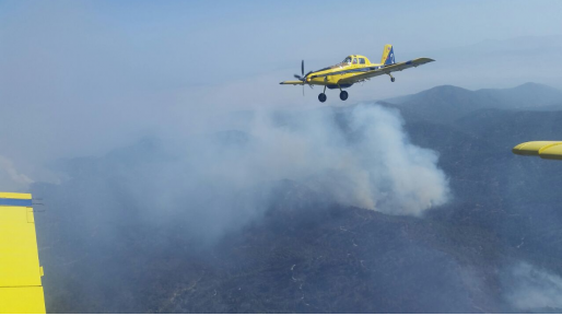 צילום: דובר צה מטוסי כיבוי הוזנקו לשריפת חורש פרצה בין רכסים לטבעון