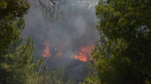 צילום: דוברות כב חשד לפיגוע הצתה סמוך לראש צורים שבגוש עציון