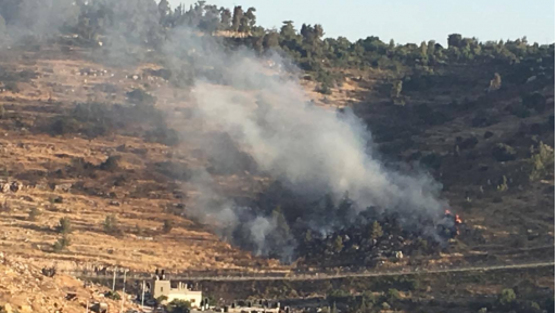 צילום: דודו יוסף שריפת חורש פרצה באזור קיבוץ מעלה החמישה