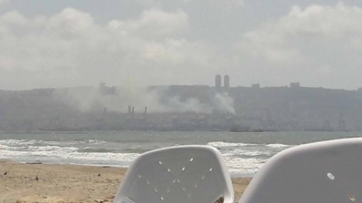 צילום: רוני הודרה עץ דקל שעלה באש קרס על בניין מגורים בחיפה