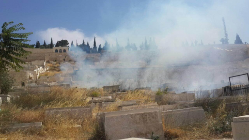 צילום: חדשות 0404 שריפה פרצה בשטח בית העלמין הר הזיתים