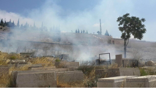 צילום: חדשות 0404 הממשלה: בודקים תכנית להגברת הביטחון האישי בהר הזיתים