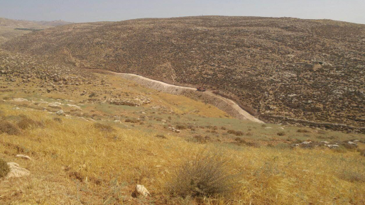 צילום: תנועת רגבים ערבים השתלטו על אדמות מדינה וסללו ציר. המנהל: "יינקטו הליכים"