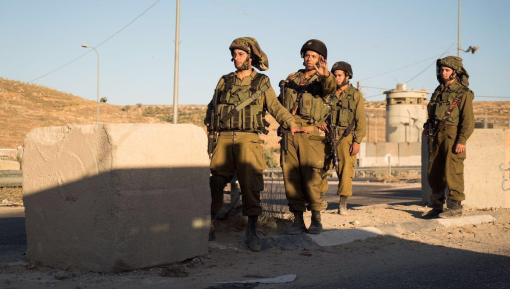 צילום: דובר צה ערבי שהתפרע וסיכן לוחמים חוסל בירי באזור אל פוואר