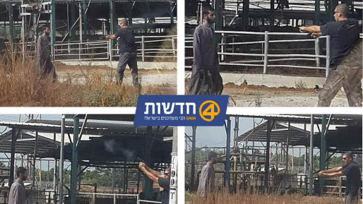 צילום: רם חכמון הנהגת שנרגמה באבנים: "ניסה להרוג אותי". בתמונות: הירי לעבר החשוד
