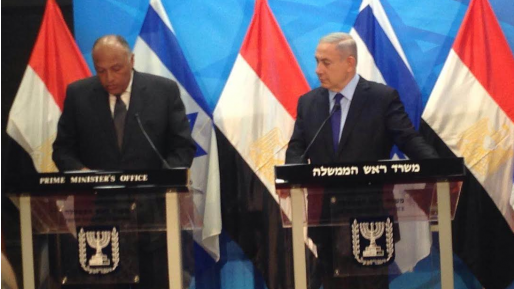 צילום: ליאור מור שר החוץ המצרי: "החזון של פתרון שתי המדינות הוא לא מופרך"