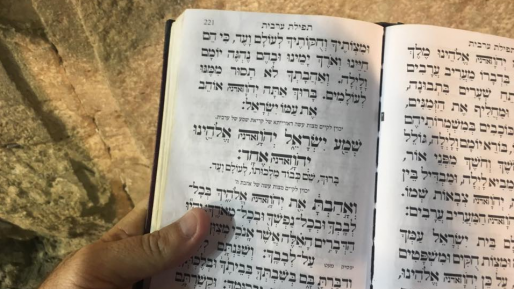 צילום: חדשות 0404 "עשה לך… שפן" / הציבור הדתי לא זורם עם הרב בני לאו