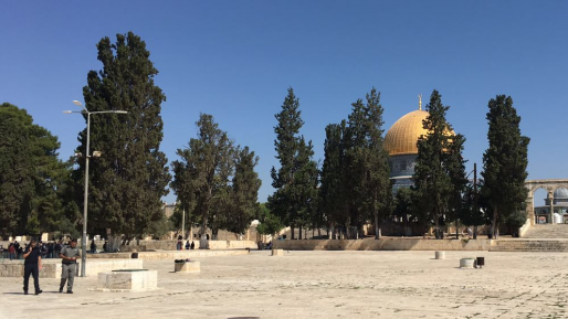צילום: חדשות 0404 שתי נערות ונער נעצרו במהלך סיור בהר הבית