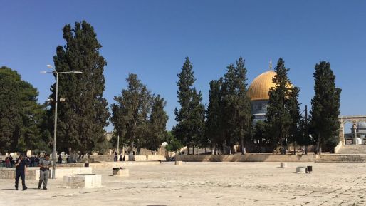 חמישה תלמידים נעצרו בהר הבית בחשד שהשתחוו