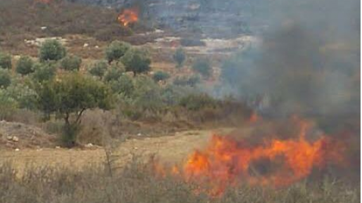 צילום: דוברות כב שריפת קוצים גדולה באזור בית הגדי – תושבים פונו