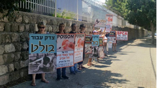 צילום: חדשות 0404 הפגנה מול צער בעלי חיים בת"א: "רוצחים כלבים"