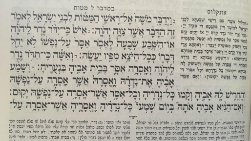 צילום: חדשות 0404 פרשת מטות – ישר כוחך שחילקת