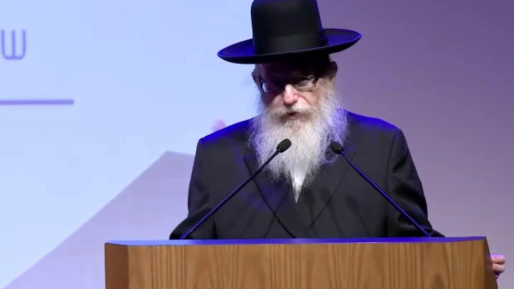צילום: איחוד הצלה שר הבריאות: "עדיין חושב שיש מקום לשיתוף פעולה בין איחוד הצלה למד"א"