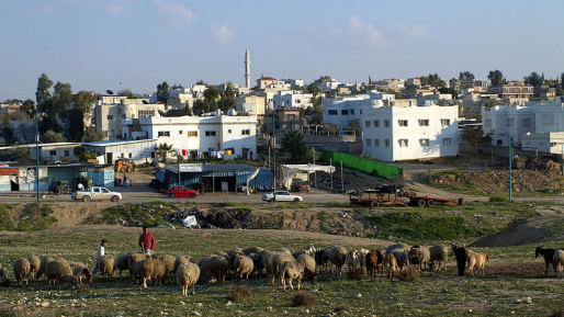צילום: דוד שנקבון, ויקיפדיה יונקים שנאה: מפגעים בני 7 ביצעו פיגוע אבנים לעבר אוטובוס ברהט