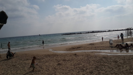 צילום: עומר יהושוע הבדיקות תקינות: ניתן שוב לרחוץ בחוף מרידיאן (הכרמל) בחיפה