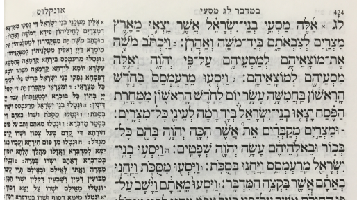 צילום: חדשות 0404 שיבה לאחור אל נקודת מוצאם / הגיגים – פרשת מסעי