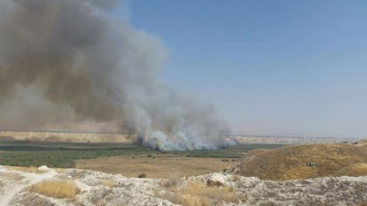 צילום: אמנון פאעור רט״ג שריפת קוצים פרצה סמוך למוצב בבקעת הירדן