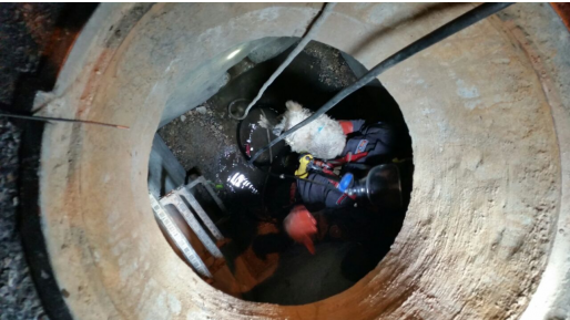 צילום: דוברות כב״ה בית שמש כבאים חילצו כלב שנפל לבור ביוב