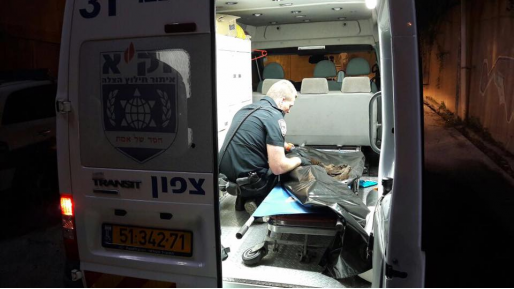 צילום: אהרן ברוך ליבוביץ צוות זק"א הציל חיי כלבה לאחר שפינה אותה לטיפול רפואי