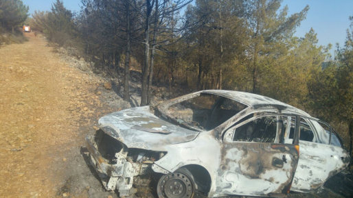 צילום: דוברות כב״ה מחוז חוף שריפת קוצים פרצה כתוצאה מהצתת רכב