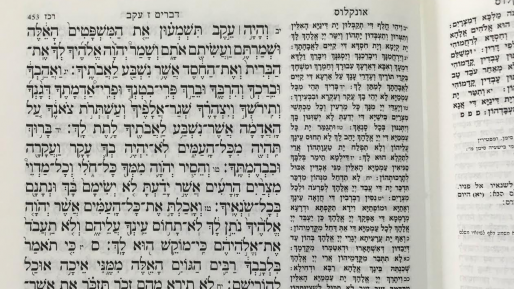 צילום: חדשות 0404 פרשת עקב – מצוות וגבינות / ד"ר חזות גבריאל