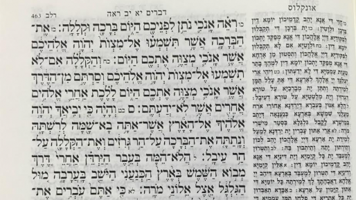 צילום: חדשות 0404 שמיעה תבונית / פרשת ראה