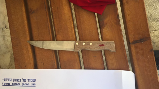 צילום: דוברות המשטרה המשטרה: אתמול נמנע פיגוע דקירה בירושלים