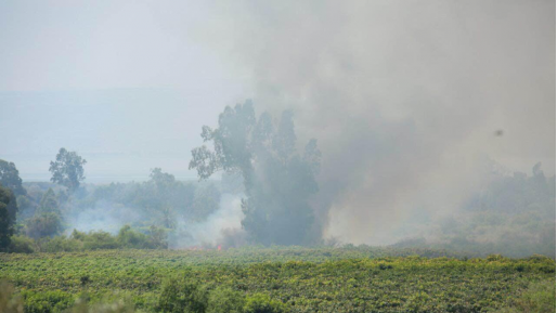 צילום: עמיר בוחניק כוחות כיבוי השתלטו על שריפה בצפון מזרח הכנרת