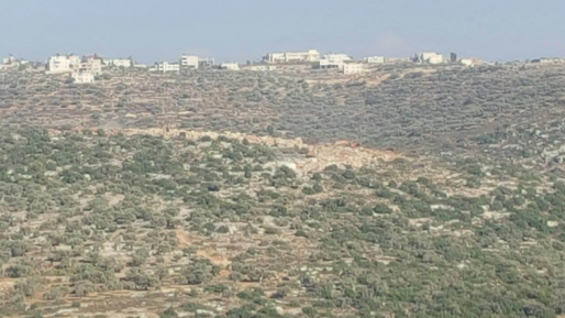 צילום: תנועת רגבים ערבים השתלטו על שטח ליד נחליאל ומכשירים קרקע לבנייה