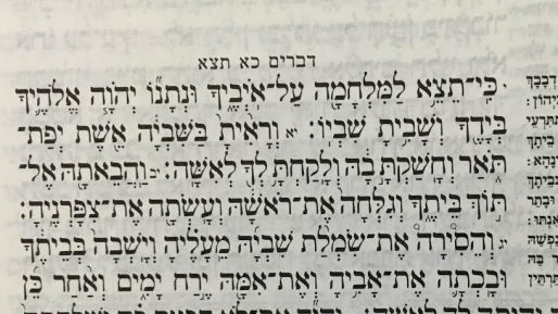צילום: חדשות 0404 שקט בבקשה – פרשת כי תצא / ד"ר חזות גבריאל