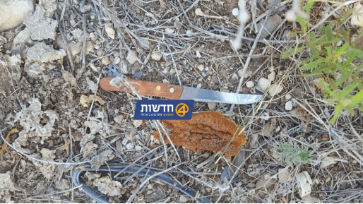 צילום: חדשות 0404 ערבי נתפס עם סכינים. נחקר בשב"כ וטען: "התכוונתי לחתוך צינורות"
