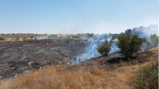 צילום: דוברות כב שריפת קוצים בבית שמש: דיירי בתים פונו