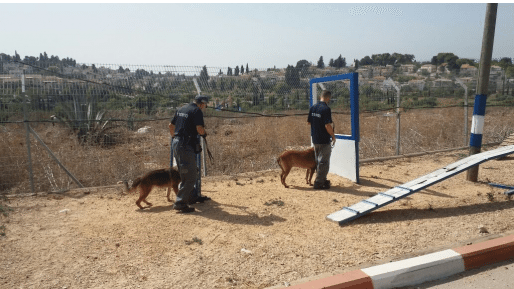 צילום: דוברות המשטרה עשרה כלבי שיטור מצ'כיה ישתלבו בשורת המשטרה