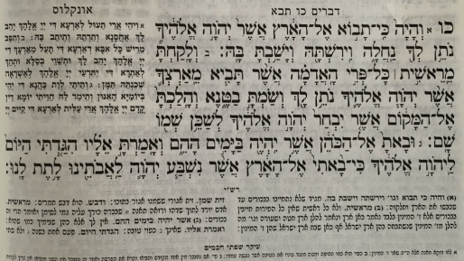 צילום: חדשות 0404 ייפוי ההיסטוריה? על פרשת השבוע "כי תבא"