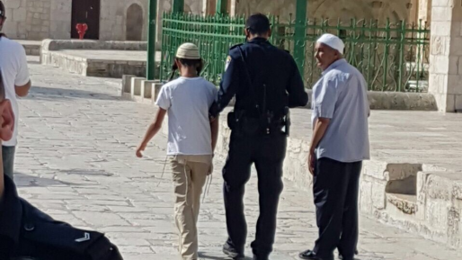 צילום: גילעד הדרי ימים נוראים: קטין נעצר בהר הבית לאחר שמלמל תפילה