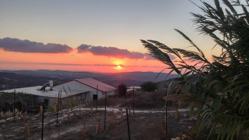 צילום: חוות גלעד שקיעה ליברמן: "הסדרת חוות גלעד כישוב מן המניין, תובא לאישור הממשלה ביום ראשון הקרוב"